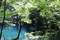 青池の写真・動画_image_331863