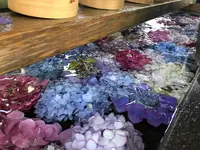 御裳神社の写真・動画_image_331988