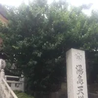 湯島天満宮（湯島天神）の写真・動画_image_332393