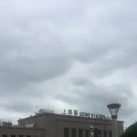 湯島天満宮（湯島天神）の写真・動画_image_332396