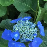 大塚性海寺の写真・動画_image_332422