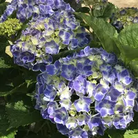 大塚性海寺の写真・動画_image_332423