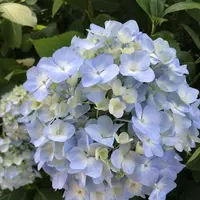 大塚性海寺の写真・動画_image_332424