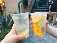 ソーダ・バーの写真・動画_image_332668