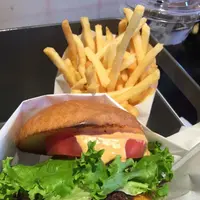 ヘンリーズバーガー（HENRY'S BURGER）の写真・動画_image_332683