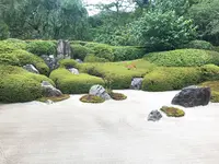 明月院（あじさい寺）の写真・動画_image_332755
