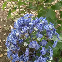 大塚性海寺歴史公園の写真・動画_image_333024