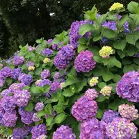 大塚性海寺歴史公園の写真・動画_image_333028