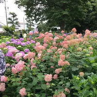大塚性海寺歴史公園の写真・動画_image_333030