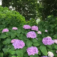 大塚性海寺歴史公園の写真・動画_image_333032
