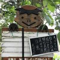 カッパ淵の写真・動画_image_333157