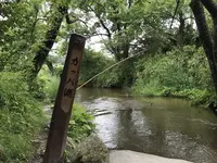 カッパ淵の写真・動画_image_333158