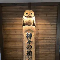 ラビスタ大雪山の写真・動画_image_333425