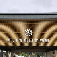 旭川市 旭山動物園の写真・動画_image_333435