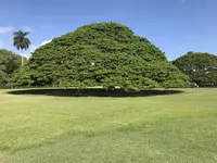 モアナルア・ガーデンズの写真・動画_image_333487