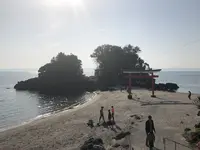 南大隅町 雄川の滝の写真・動画_image_338314