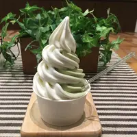 磯沼牧場の写真・動画_image_338350