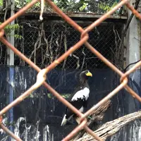 斜里町立知床博物館の写真・動画_image_338402