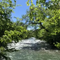 奥入瀬渓流館の写真・動画_image_338511