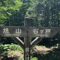 奥入瀬渓流館の写真・動画_image_338512