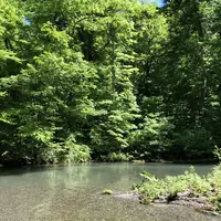 奥入瀬渓流　　の写真・動画_image_338546