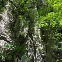 奥入瀬 石ケ戸休憩所の写真・動画_image_338584