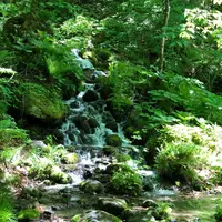 奥入瀬 石ケ戸休憩所の写真・動画_image_338588