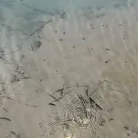 地獄沼の写真・動画_image_338705