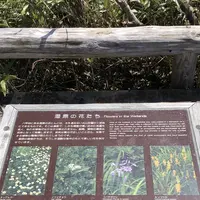 八甲田ロープウェイの写真・動画_image_338737