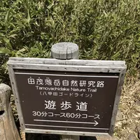 八甲田ロープウェイの写真・動画_image_338790