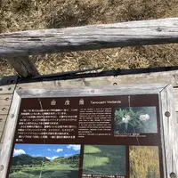 八甲田ロープウェイの写真・動画_image_338793