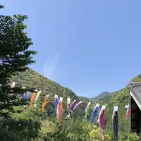 熊野古道大門坂の写真・動画_image_338937