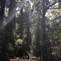 熊野古道大門坂の写真・動画_image_338938