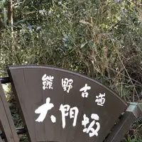 熊野古道大門坂の写真・動画_image_338939