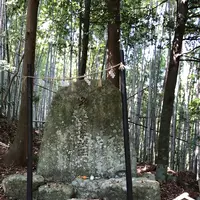 熊野古道大門坂の写真・動画_image_338942