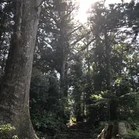 熊野古道大門坂の写真・動画_image_338944