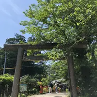 熊野古道大門坂の写真・動画_image_338945