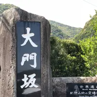 熊野古道大門坂の写真・動画_image_338951