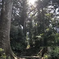 熊野古道大門坂の写真・動画_image_338952