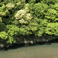 川湯温泉 冨士屋の写真・動画_image_339060