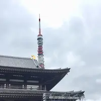 増上寺の写真・動画_image_339158