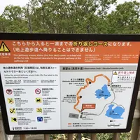知床五湖の写真・動画_image_339256