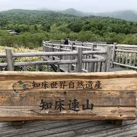 知床五湖の写真・動画_image_339258
