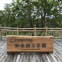 知床五湖の写真・動画_image_339260