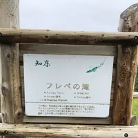 知床自然センターの写真・動画_image_339271