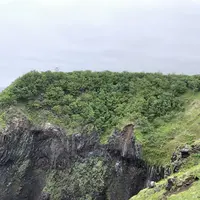 知床自然センターの写真・動画_image_339282