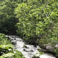 オシンコシンの滝の写真・動画_image_339296