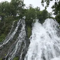 オシンコシンの滝の写真・動画_image_339299