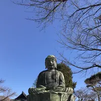 護国寺の写真・動画_image_339428