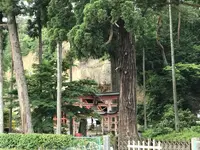 国指定史跡 達谷窟毘沙門堂の写真・動画_image_339933